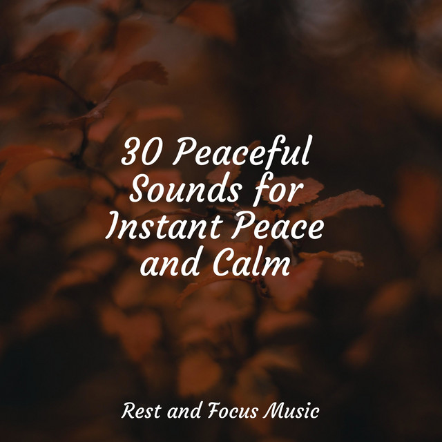 30 Peaceful Sounds for Instant Peace and Calm - Album by Sounds of ...