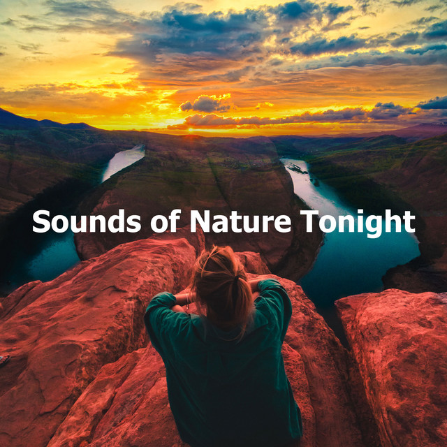 Sounds of Nature Tonight - Album by Sounds of Nature Relaxation | Spotify