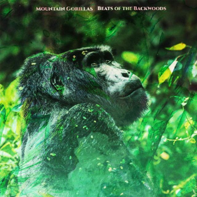 Beats of the Backwoods (Deluxe) cover art