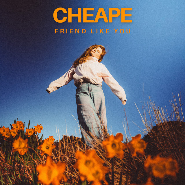 Friend Like You