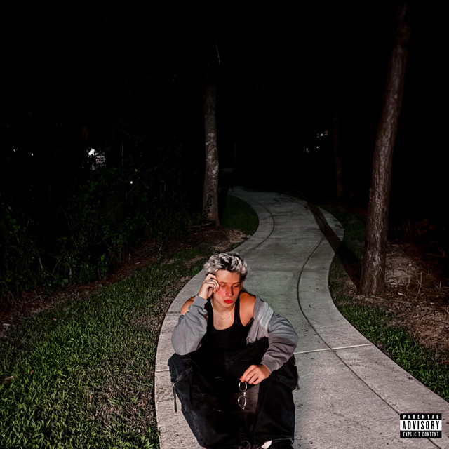 Suppressor cover art