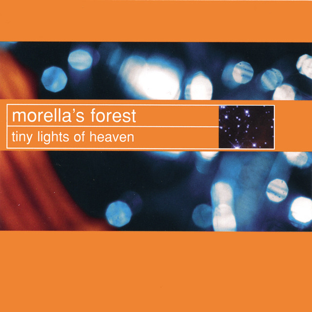 Tiny Lights of Heaven cover art