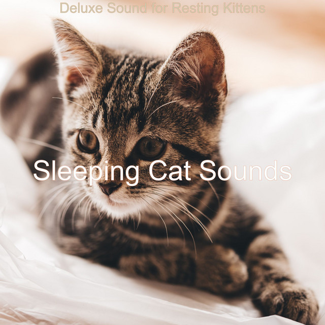 Deluxe Sound for Resting Kittens cover art