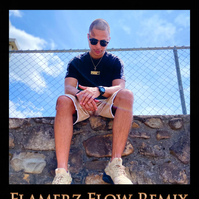 FLAMERZ FLOW (REMIX) - Single by ZPO | Spotify