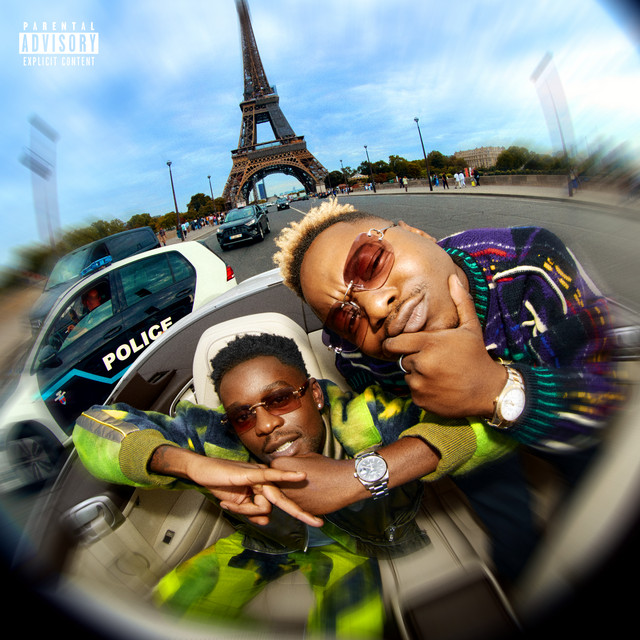 Pochette de Fly de 2022