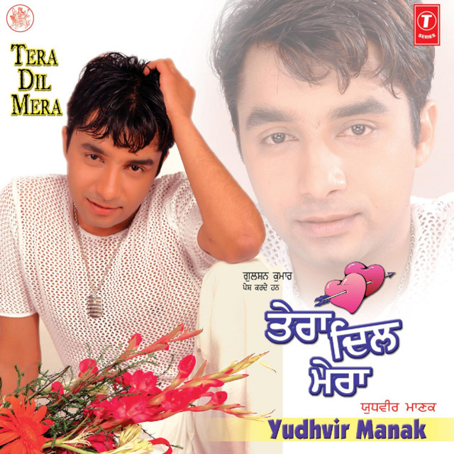 Tera Dil Mera cover art