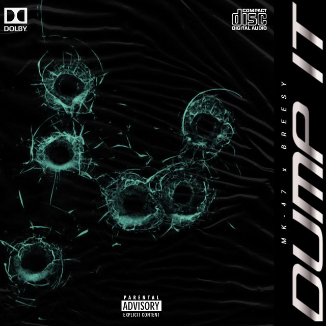 Dump It cover art