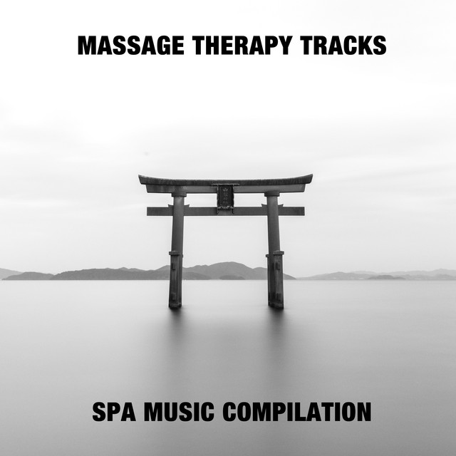 14 Massage Therapy Tracks - Spa Music Compilation cover art