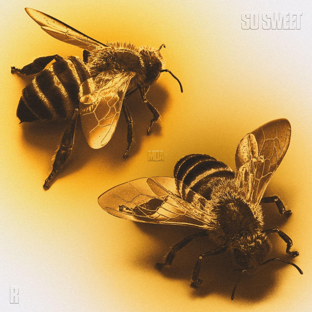 So sweet + R cover art
