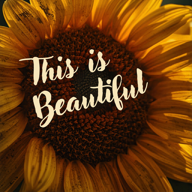 The Lightning Thief Company