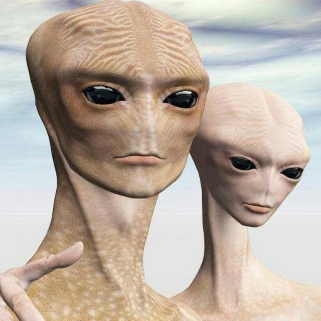 WxS II cover art