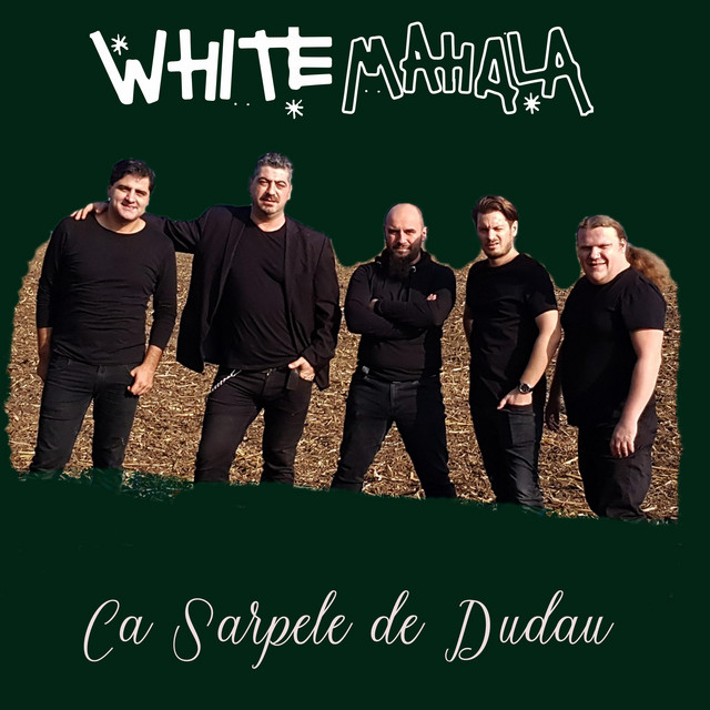 Sarpele de dudau cover art