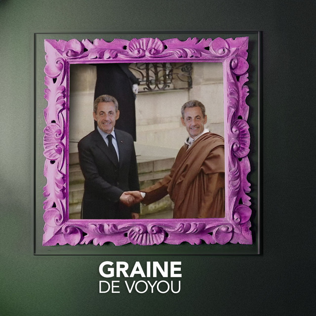 Graine de voyou cover