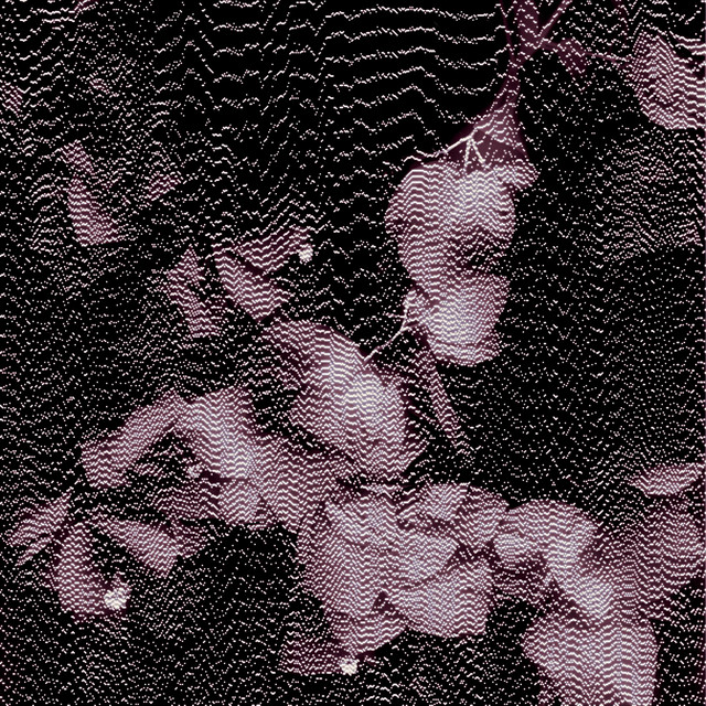 Star Sight (single)