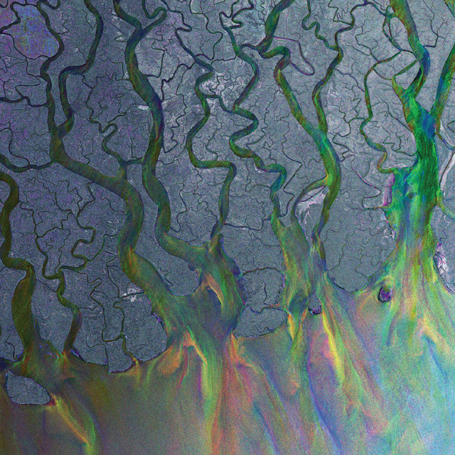 Dissolve Me