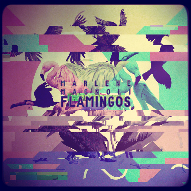 Flamingos cover art