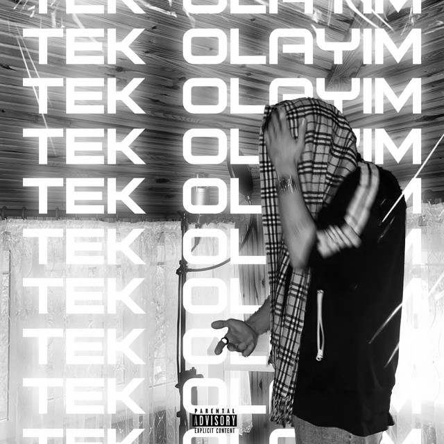 Tek Olayım cover art