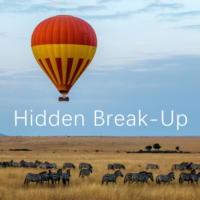 Hidden Break-Up cover art