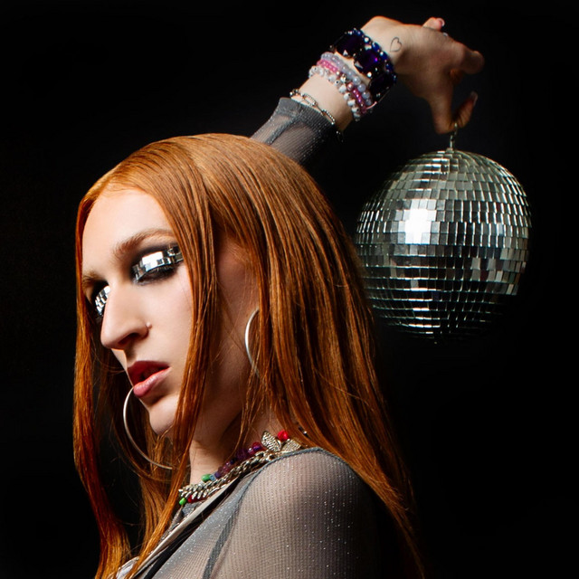 disco blind