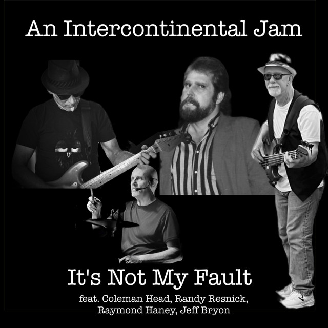 It's Not My Fault - REMIX