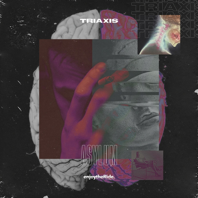 Asylum cover art