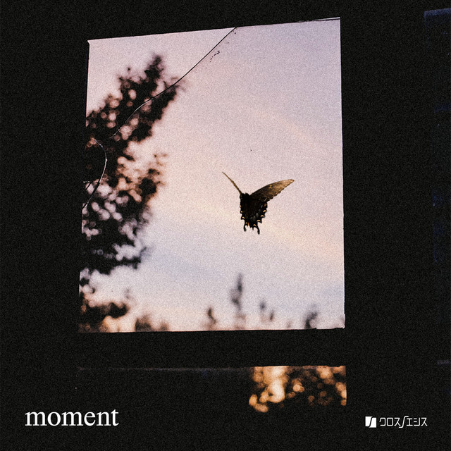 moment cover