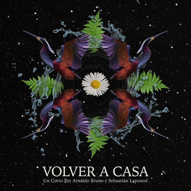 Volver a Casa cover art