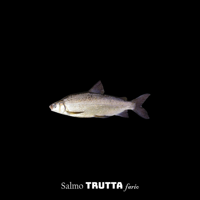 Salmo TRUTTA fario cover art