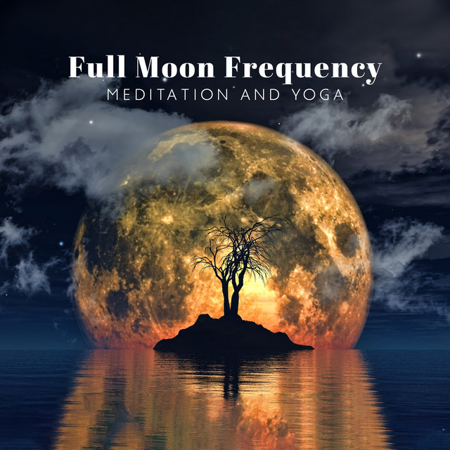 Deep Meditation Music Zone