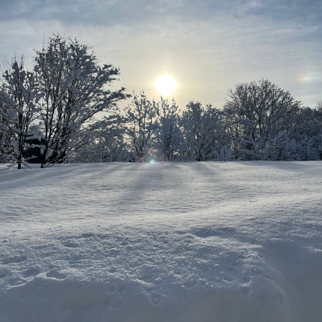 Обкладинка: The First Snow — Artman