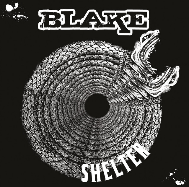 Shelter cover art