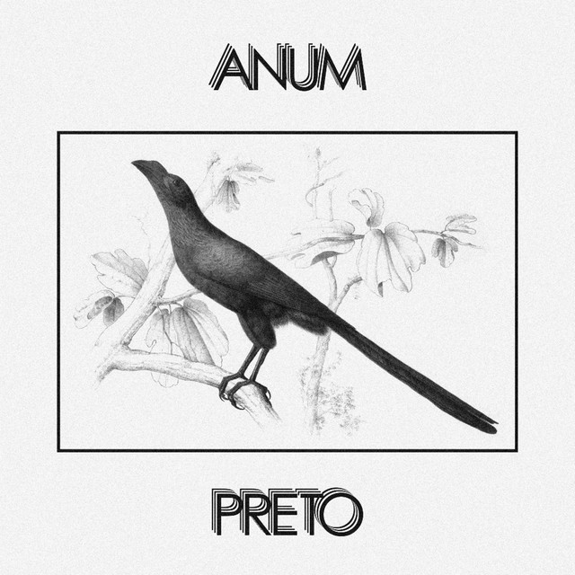 Anum Preto cover art