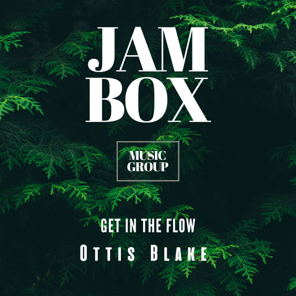 Get in the Flow cover art