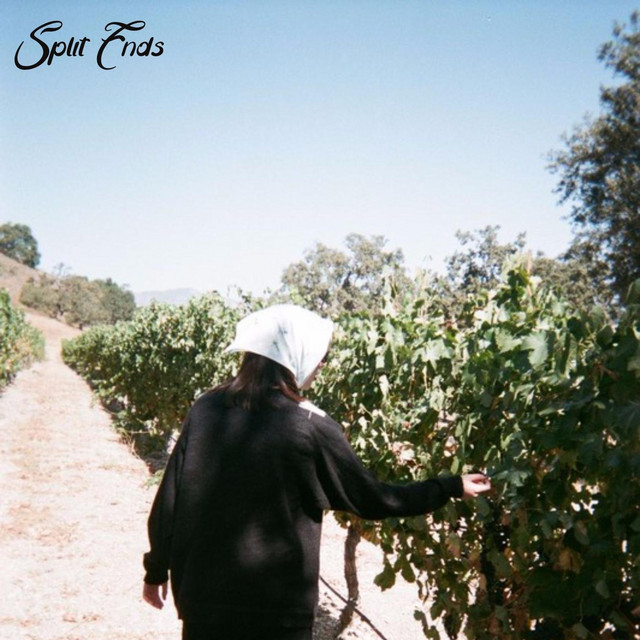 Split Ends cover art