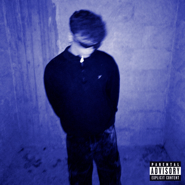 Perdimi cover art
