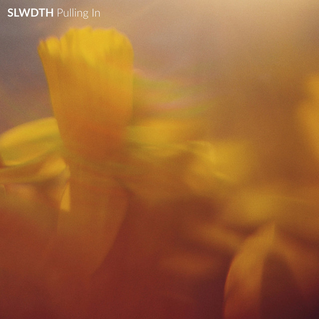 SLWDTH