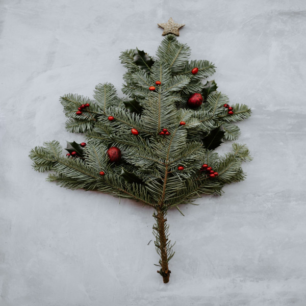 Once in Royal David's City (Christmas Presents) cover art