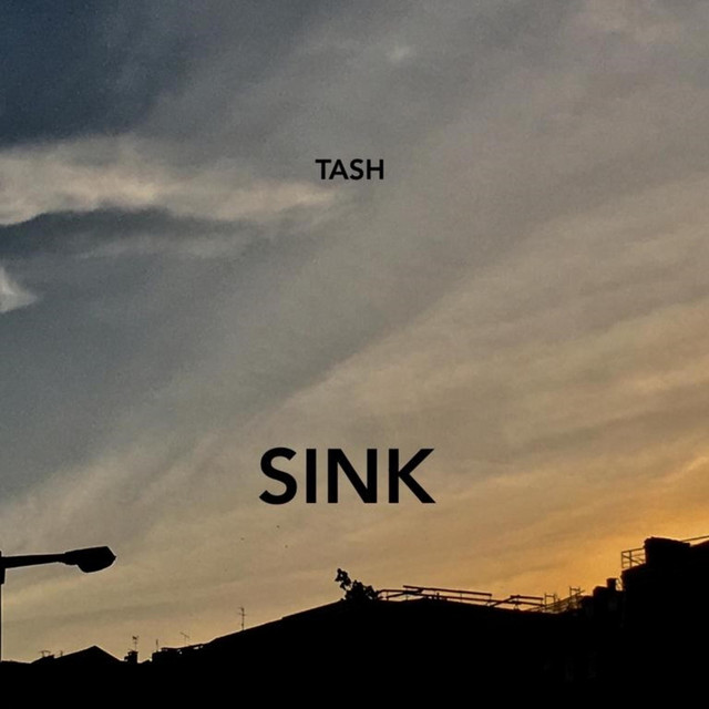 Sink cover art