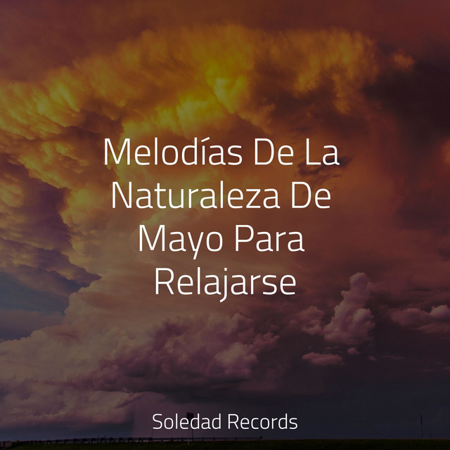 Melodías De La Naturaleza De Mayo Para Relajarse