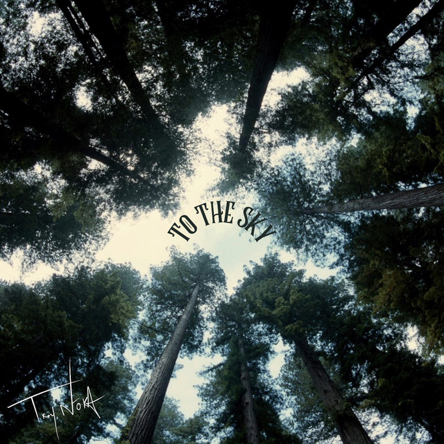 To the Sky - Single by TROY NōKA | Spotify