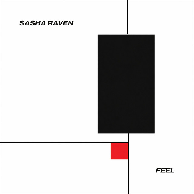 Обкладинка: Feel — Sasha Raven