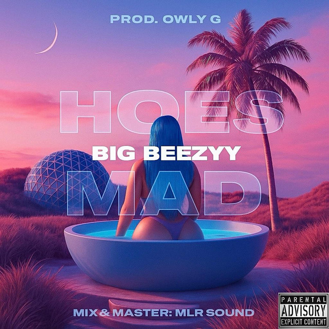 Big Beezyy Hoes Mad