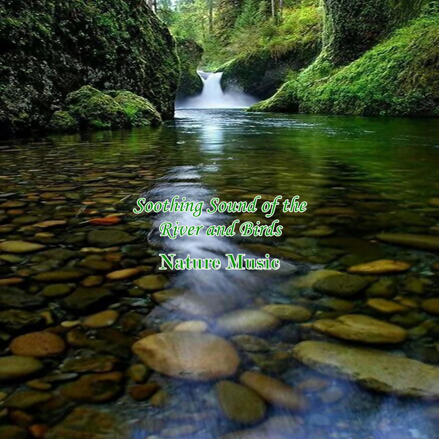 Soothing Sound of the River and Birds