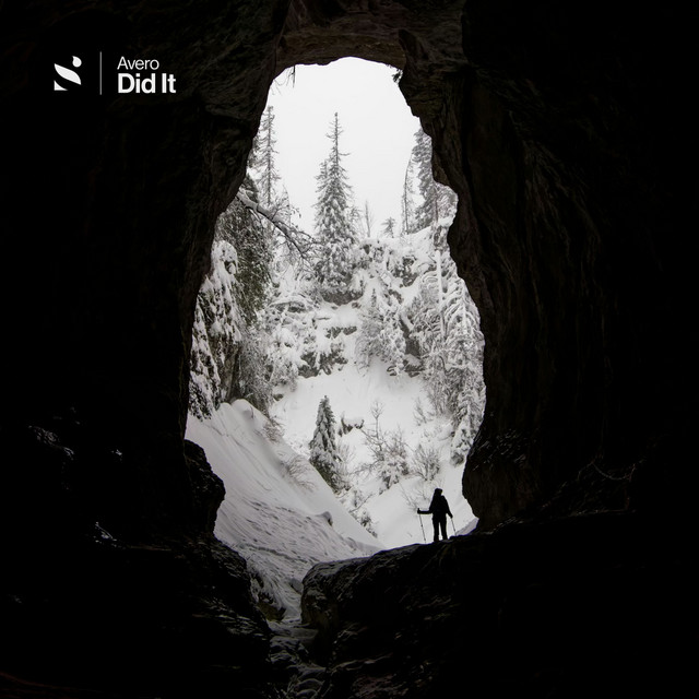 Did It – Avero