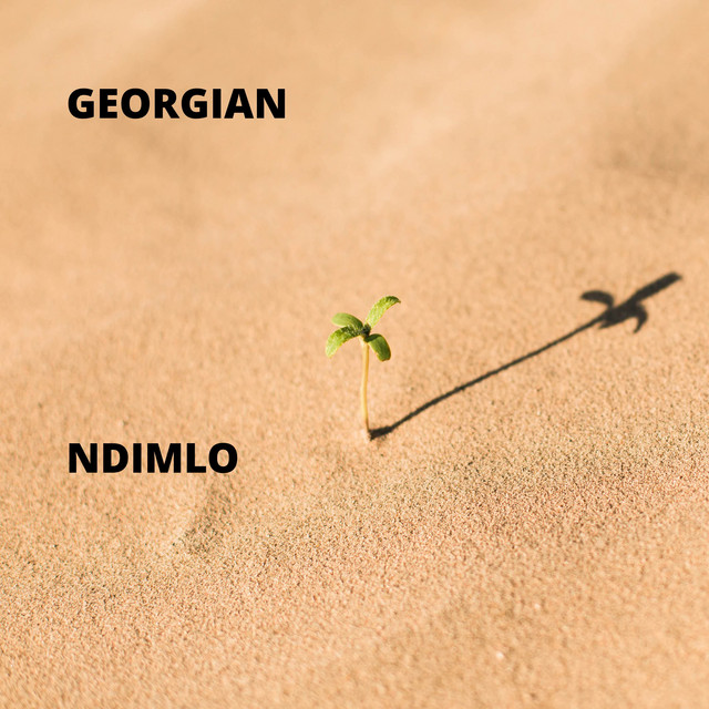 Ndimlo cover