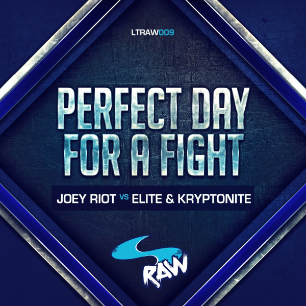 Perfect Day For A Fight