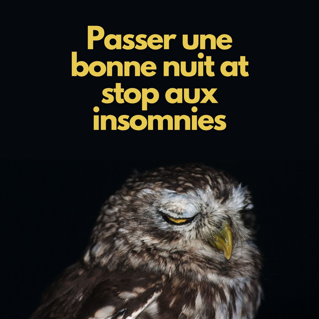 Passer Une Bonne Nuit Song By Ensemble De Musique Zen Relaxante Spotify