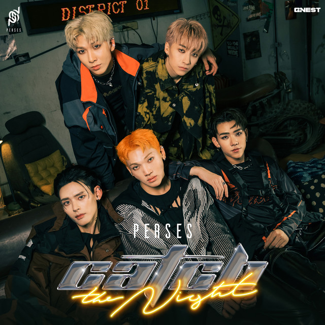 CATCH THE NIGHT cover art