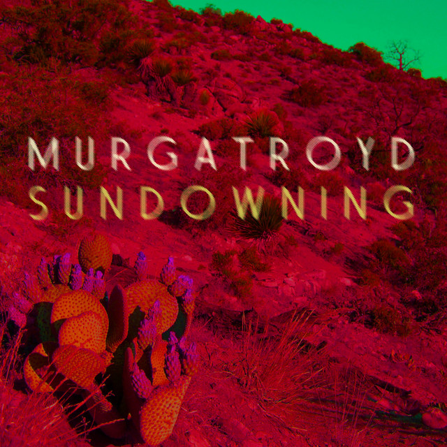 Sundowning cover