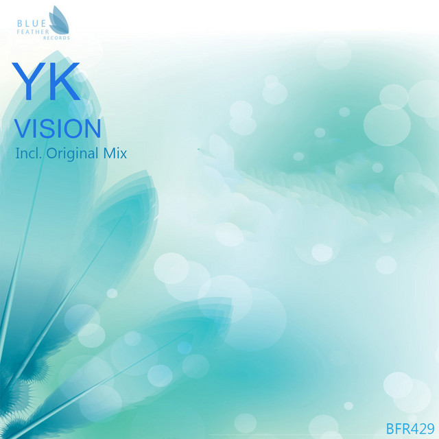 Vision cover art